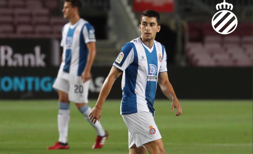 排球巡回赛,荆楚海豚队与姑苏铁骑队强势横扫,VAR改判成焦点!精神属性拉满的简单介绍 排球巡回赛,荆楚海豚队与姑苏铁骑队强势横扫,VAR改判成焦点!精神属性拉满的简单介绍